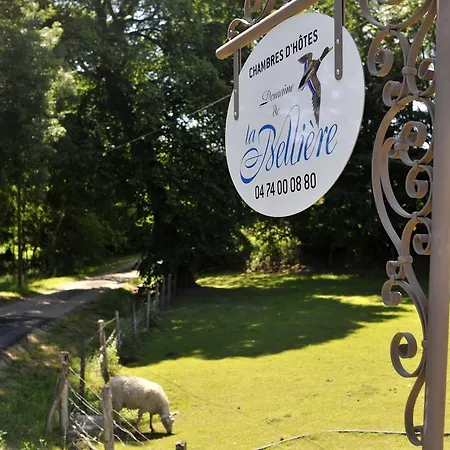 ゲストハウス Domaine De La Belliere 3*